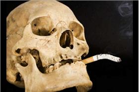 血腥慎入！「豬肺吸菸實驗」看完你還敢抽菸嗎？（圖／翻攝自Youtube）