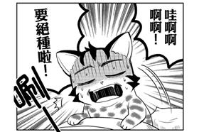 石虎的惡夢_古怪KoKai 