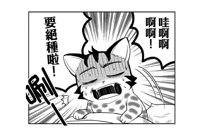 【短漫】要絕種啦？！石虎的惡夢