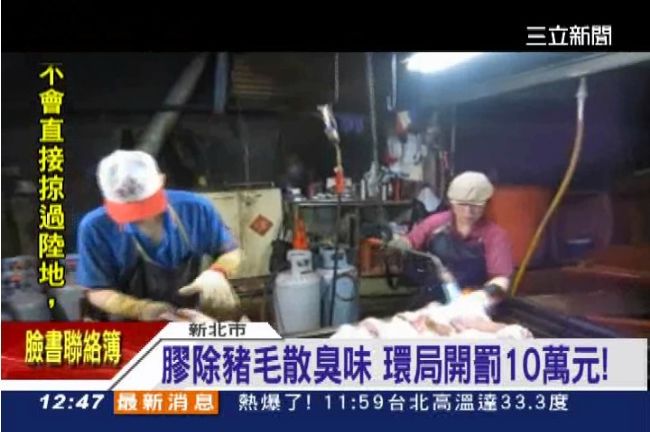 松膠除豬毛還重複使用　工廠飄惡臭味