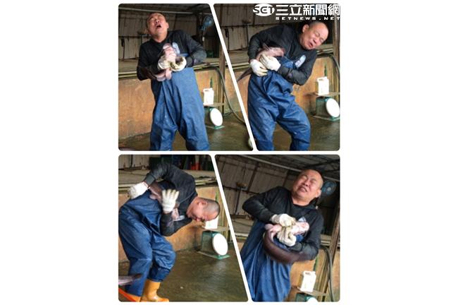 錢難賺！鄭志偉抓魚、拿燙碗都自己來