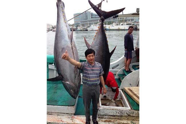 東港第一黑鮪魚！業者288萬得標