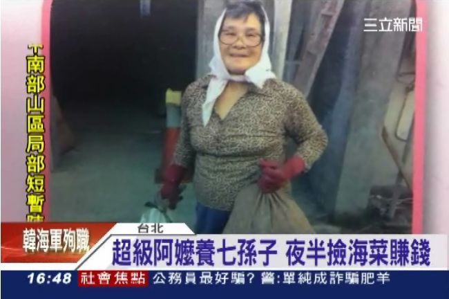 超級阿嬤！半夜海邊撿海菜養七孫