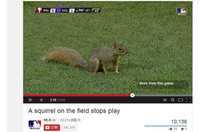 超Q！超可愛！　松鼠亂入MLB球場