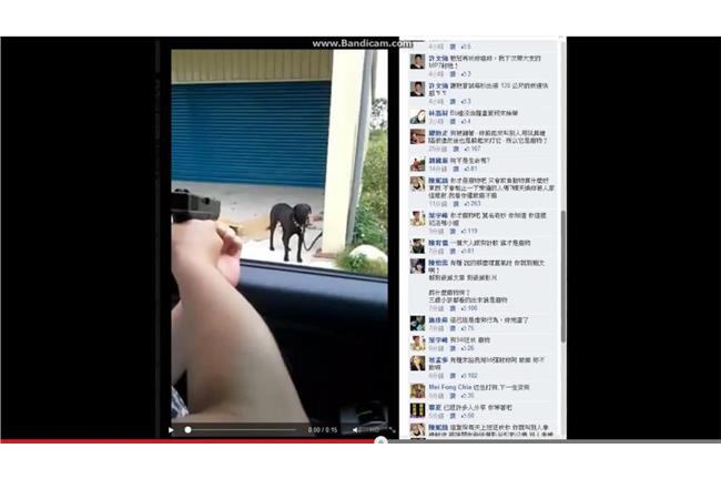 把虐狗當遊戲　男持BB槍掃射小黑狗