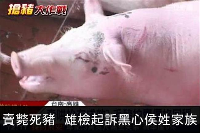賣斃死豬　雄檢起訴黑心侯姓家族