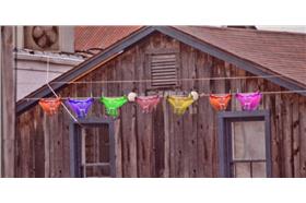 名家-煎蛋-原味內褲