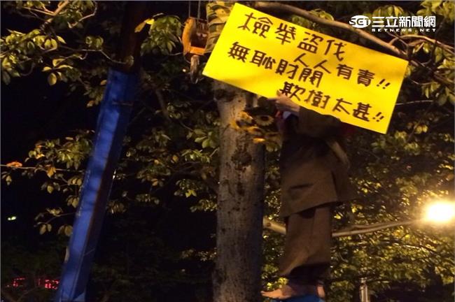 大巨蛋亂砍樹？志工淚喊：要砍就先砍我