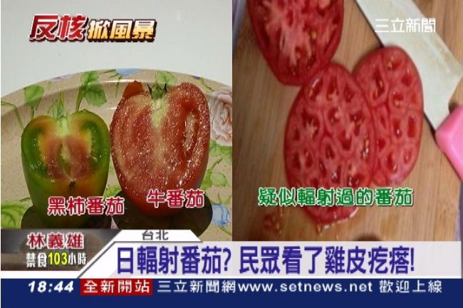 日核災污染的番茄？民眾看了雞皮疙瘩