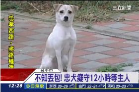 棄犬等主人g1200