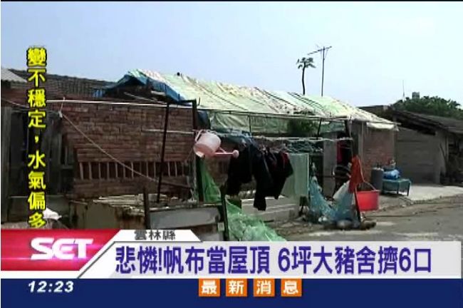悲憐！用帆布當屋頂　一家六口睡豬舍