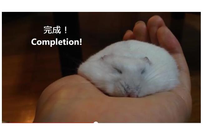萌翻你！愛的摸摸讓倉鼠一分鐘癱軟