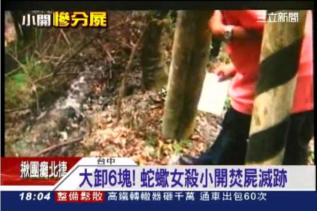 大卸6塊！蛇蠍陸女殺小開焚屍滅跡
