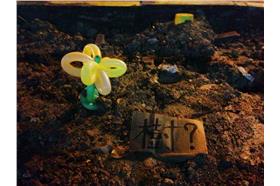 翻攝自台灣護樹團體聯盟