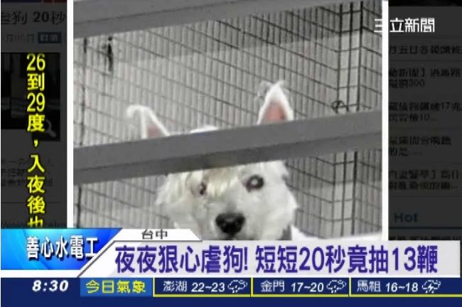 太殘忍！台中虐狗男20秒抽打13鞭