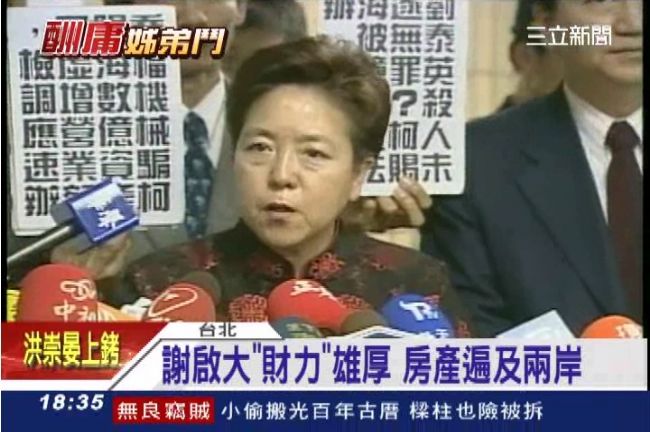 謝啟大「財力」雄厚　房產遍及兩岸