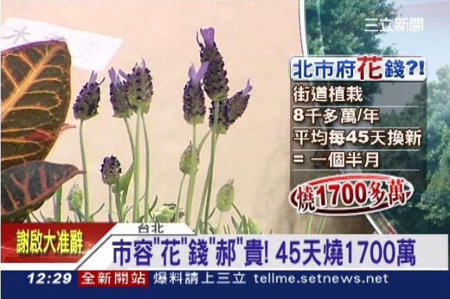 無上限換草皮？每45天燒1700萬