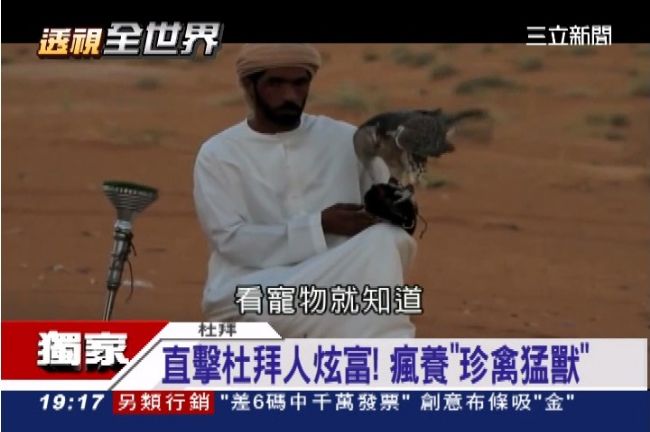 杜拜炫富新招！獅子、老鷹當寵物養