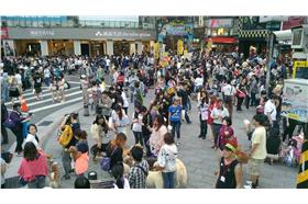 台灣動保法修法聯盟－tnvr 階段修法行動結盟