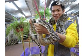 在台灣的故事 蛇