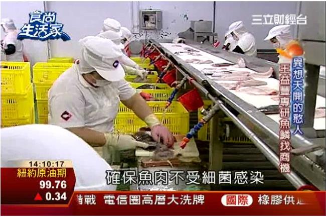 魚鱗也是商機　台灣鯛高貴拚外銷