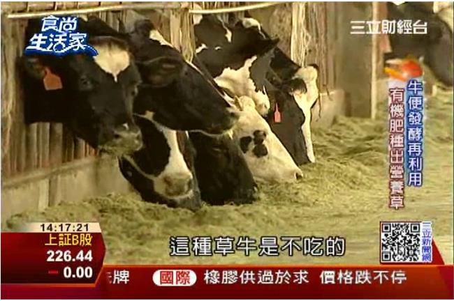 起司也能MIT　小酪農的冶金術