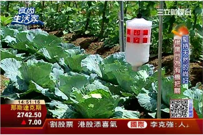 有機農新出路　楊儒門辦市集行銷