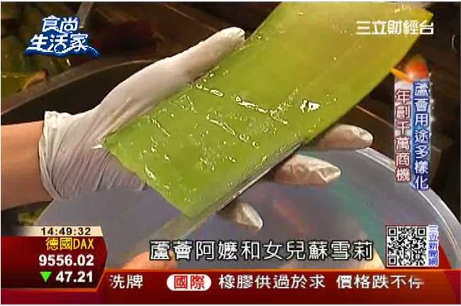 水噹噹的滋味 蘆薈做麵熱銷亞洲