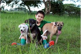 翻攝自Happy Animals Club網站