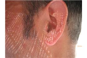 耳朵　Flickr Menage a Moi