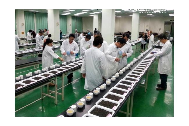 全球最大茶葉賽在台灣　南投春茶開戰