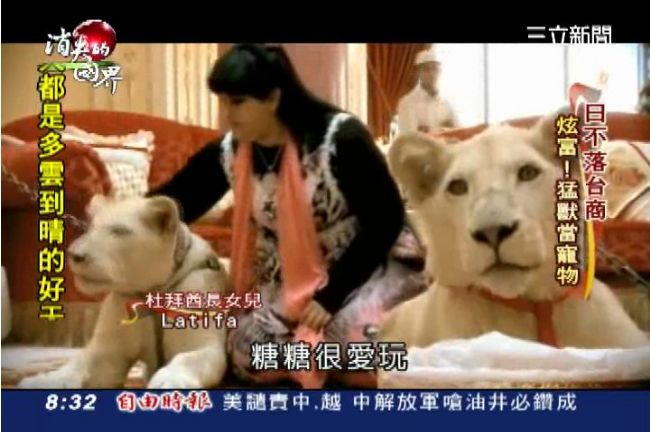 好大膽！猛獸當寵物　杜拜貴族拚炫富