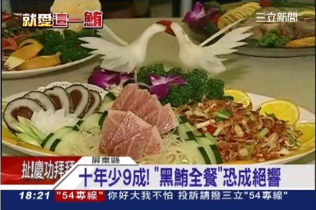 黑鮪銳減！14年前1萬、今年1百尾