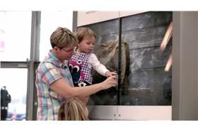 刷一下幫助弱勢