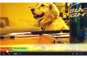 翻攝自Youtube影片