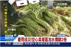 菜價貴鬆鬆，豪雨成災