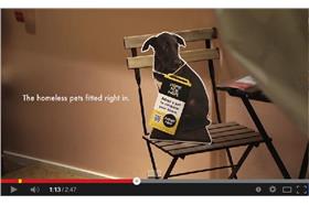 翻攝自Home for Hope影片