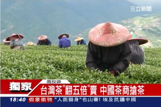 狠賺暴利逾億　百年茶行涉走私遭起訴