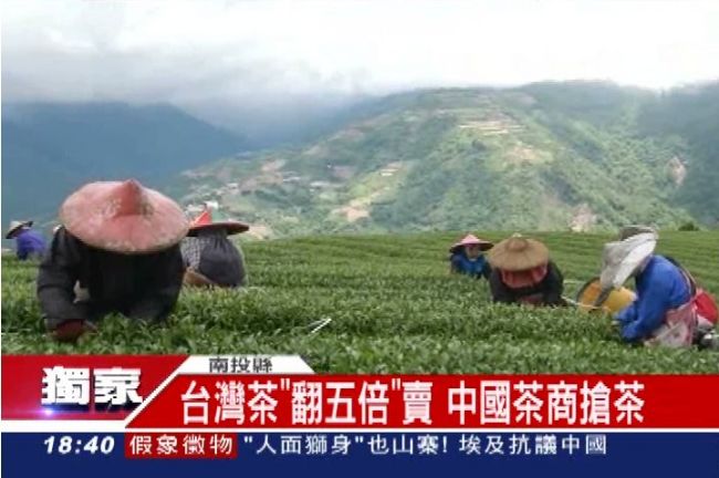 獨／台灣茶「翻五倍」賣　陸茶商狂搶