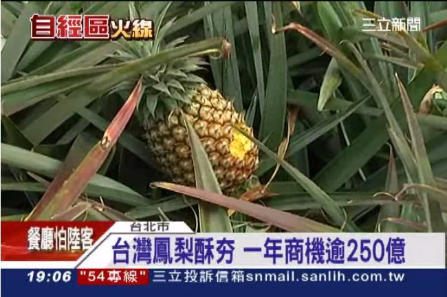 自經區拖垮產業升級？鳳梨酥恐價格戰