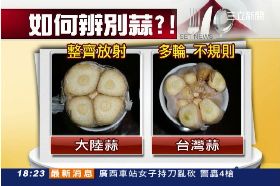 台灣四種蒜1800