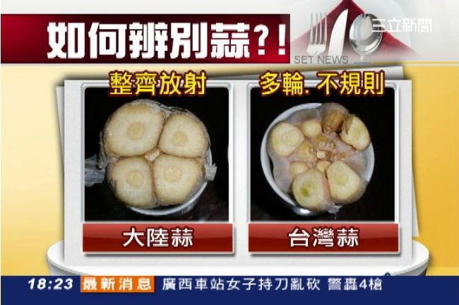 台灣蒜價崩　大陸蒜搶進　辨別有撇步