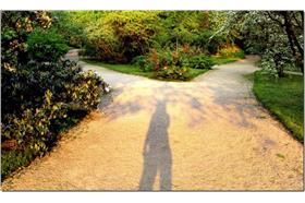 分叉路（來源：專案管理生活思維）