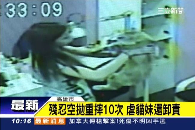 美甲師虐貓全都錄　掐脖重摔牆10次