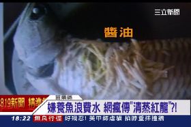 f奶奶蒸紅龍1800