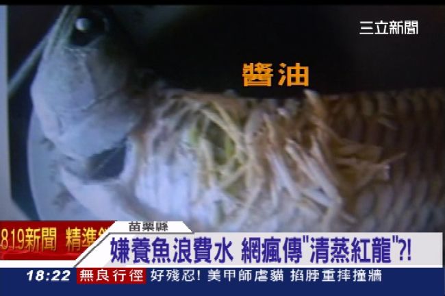 奶奶好節儉？10萬「紅龍」清蒸上桌