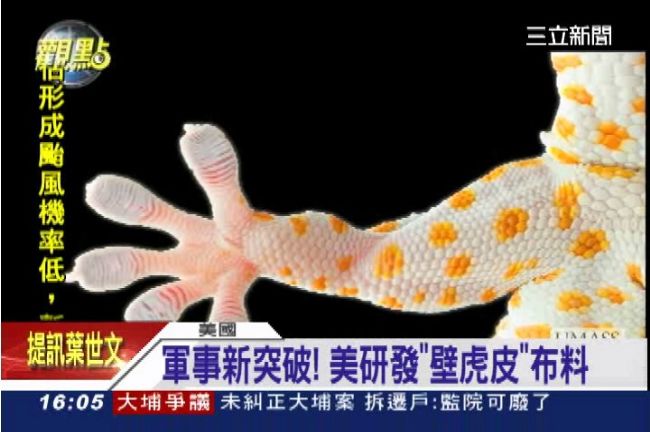 美軍有望發展「蜘蛛人」部隊？