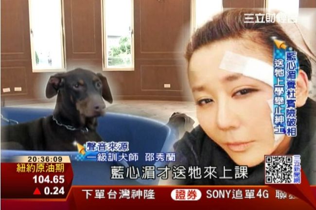 藍心湄被狗咬破臉！必知的毛孩聽話法