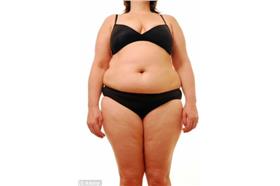 (名家)肥胖_煎蛋