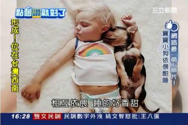 網路最萌照　寶寶、小狗依偎酣睡